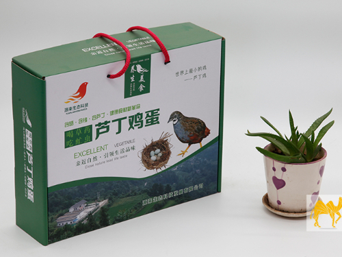 天然補品蘆丁蛋,益智延年送健康.源來(lái)生態(tài)科技公司蘆丁雞蛋飛機盒定做